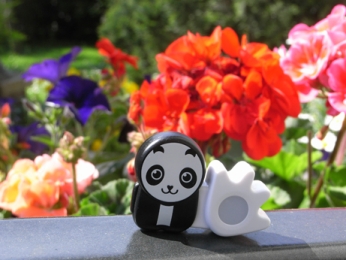 Poken in 